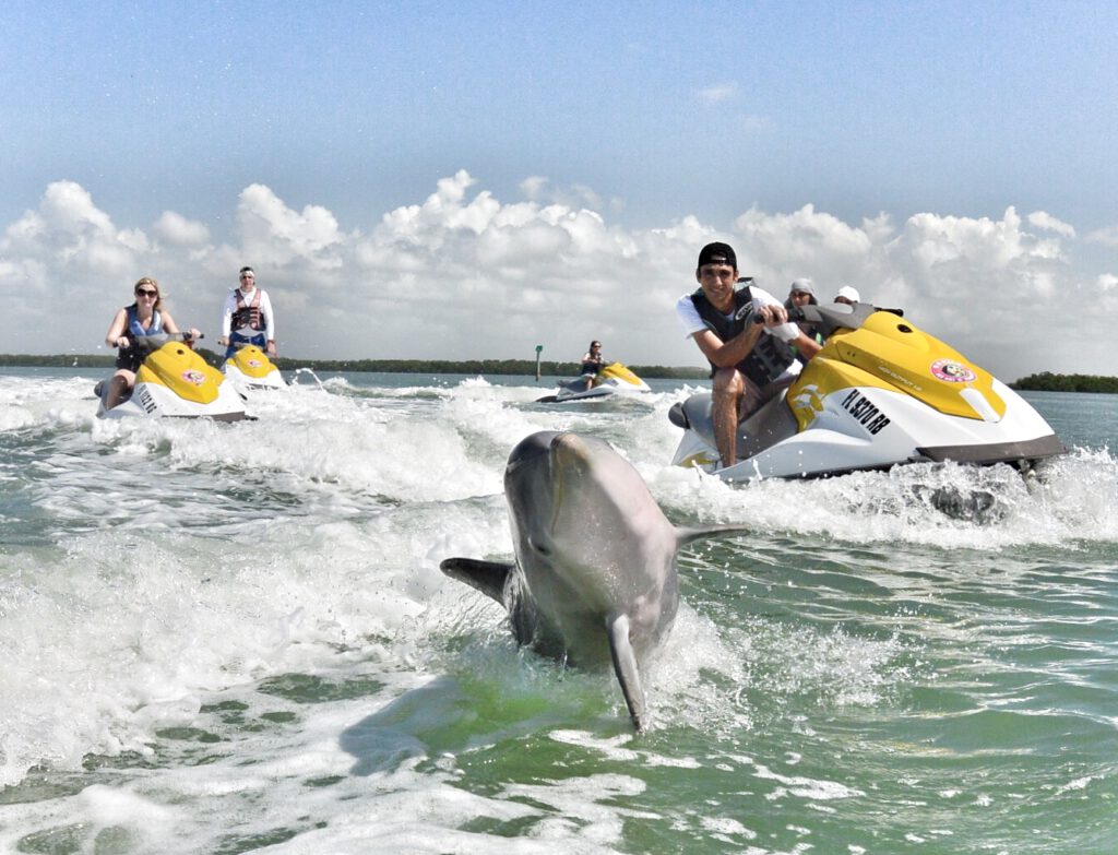 dolphin jumping near jet ski