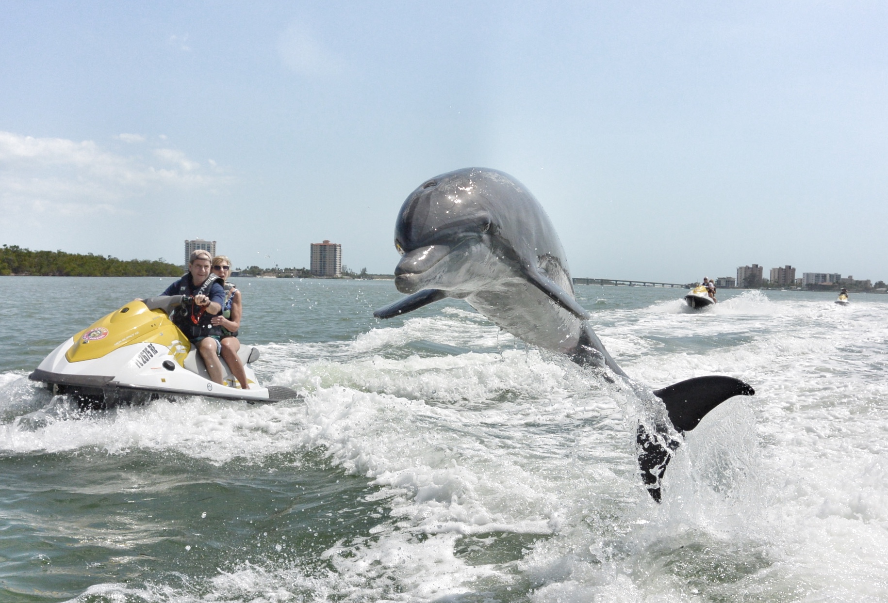 dolphin jumping high near jet ski