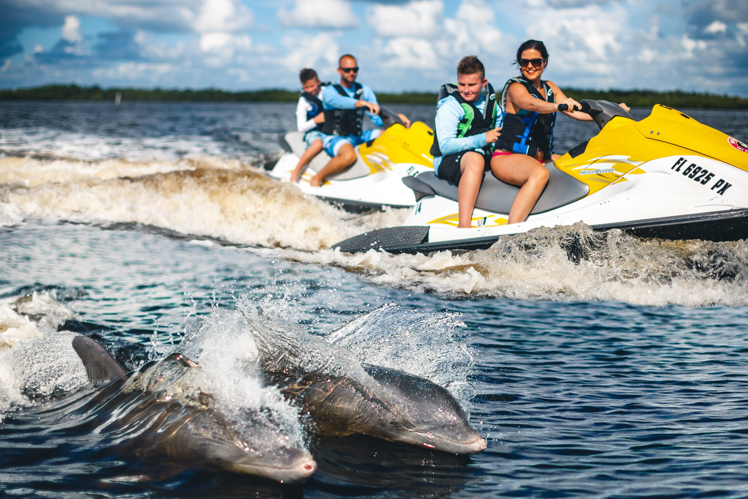 2 dolphins swimming along with 2 jet skis